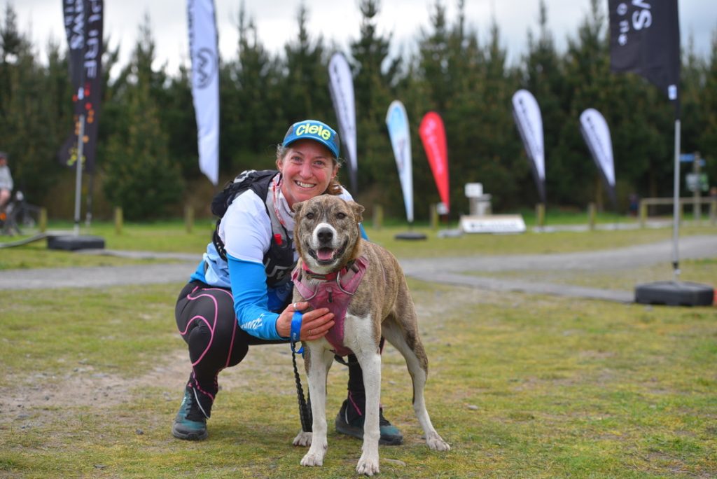 Dog Fitness Training