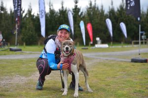 Dog Fitness Training